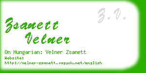 zsanett velner business card